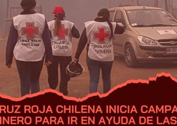 Cruz Roja Chilena inicia campaña para ayudar a afectados por incendios forestales