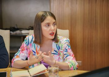 Diputada Musante: “Los constantes incendios forestales han permitido la instalación de proyectos inmobiliarios»