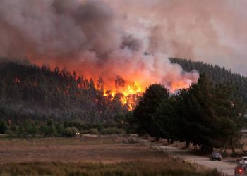 Decretan Estado de Catástrofe para región del Bío Bío por incendios forestales