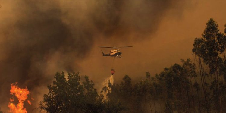 Conaf cerrará siete parques nacionales por riesgo de incendios