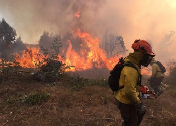 Declaran alerta preventiva por incendios en casi toda la Región de Valparaíso