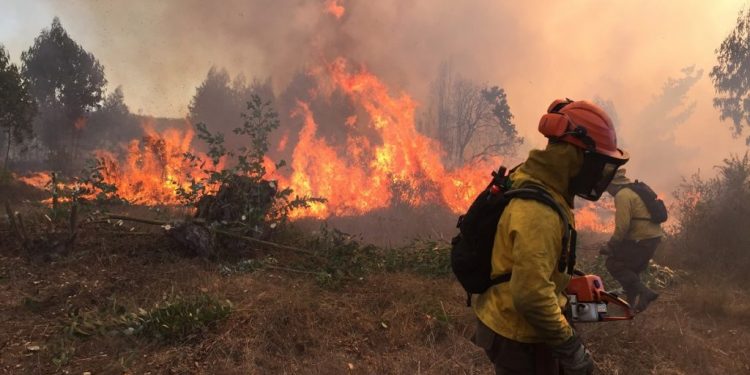 Declaran alerta preventiva por incendios en casi toda la Región de Valparaíso
