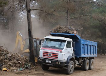Valparaíso: Retiran 1.100 toneladas de desechos para prevenir incendios forestales