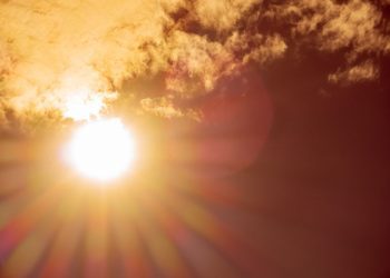 Fruticultores alertas por ola de calor extrema en zonas productivas