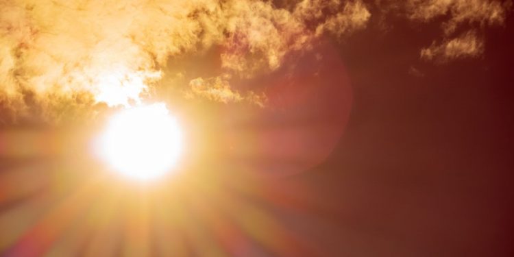 Fruticultores alertas por ola de calor extrema en zonas productivas