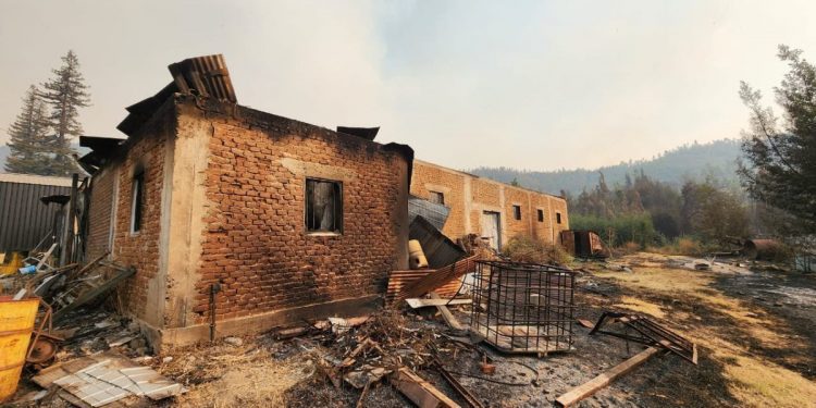 Familias de temporeros y pequeños agricultores fuertemente afectados por incendios