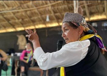 Elisa Loncón sigue generando polémica: «Los chilenos no recibieron la verdad»