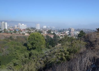 Avanza petición para declarar como humedal urbano a Borinquen