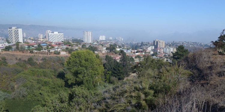 Avanza petición para declarar como humedal urbano a Borinquen