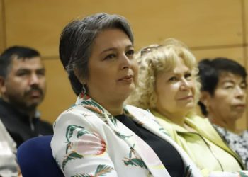 Ministra del Trabajo reitera intención de «terminar» con las AFP