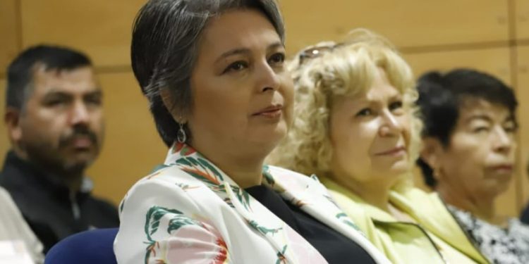 Ministra del Trabajo reitera intención de «terminar» con las AFP