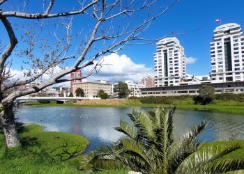 Viña del Mar: Concejo aprueba plan maestro para recuperar estero Marga Marga