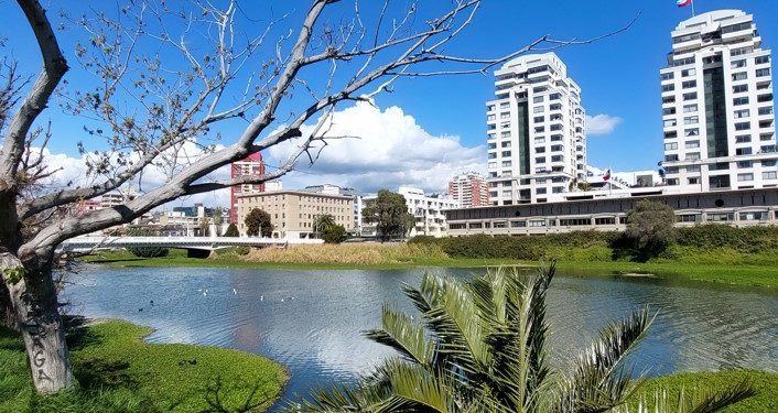 Viña del Mar: Concejo aprueba plan maestro para recuperar estero Marga Marga