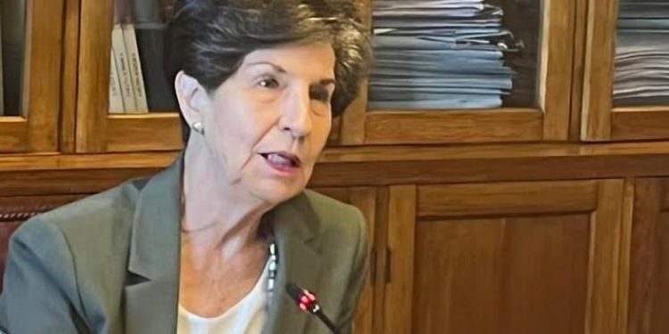 Senadora Allende: «La suspensión de clases por narcofunerales no puede repetirse»