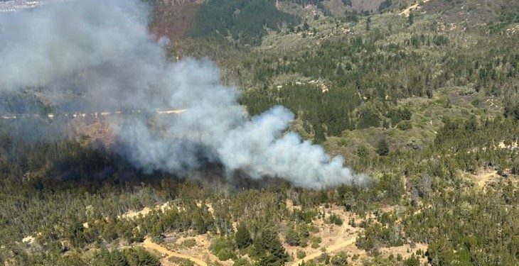 Alcalde Sharp presenta querella por incendios en Placilla