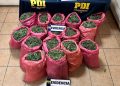 Los Vilos: PDI incauta 90 kilos de droga