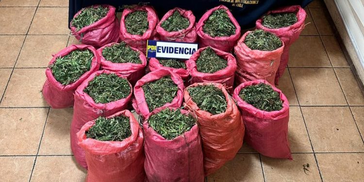 Los Vilos: PDI incauta 90 kilos de droga