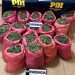 Los Vilos: PDI incauta 90 kilos de droga