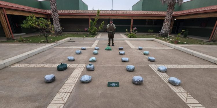 Carabineros incauta 22 kilos de droga en control policial en Petorca
