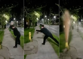 Joven que rompió un grifo en Las Condes deberá plantar 10 árboles