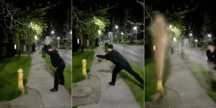 Joven que rompió un grifo en Las Condes deberá plantar 10 árboles