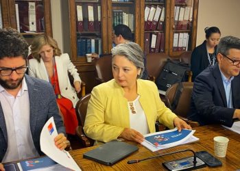 Ministra del Trabajo reitera objetivo de terminar con las AFP