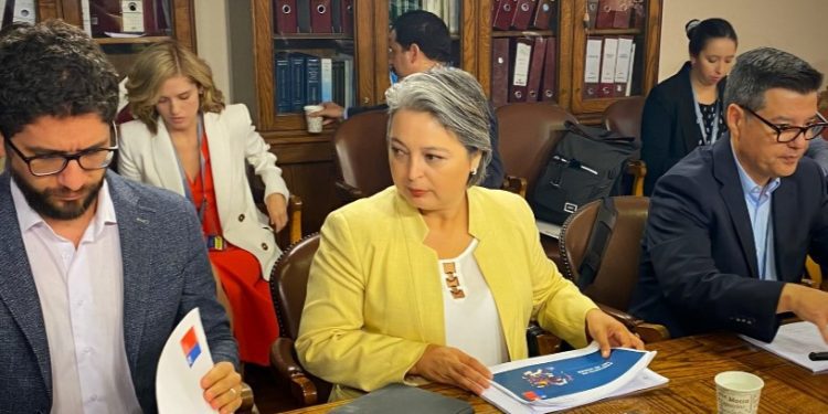 Ministra del Trabajo reitera objetivo de terminar con las AFP