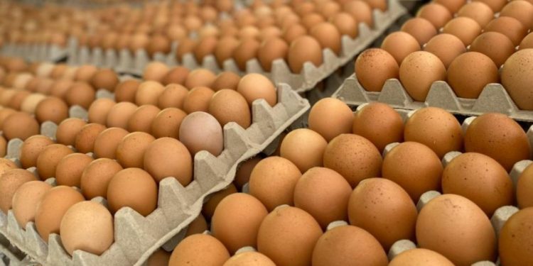 Ministro de Agricultura afirma que no debería haber grandes alzas en precio del huevo