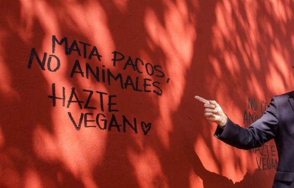 Proponen Ley Antigrafitis: Hasta 5 años de cárcel por daños a monumentos