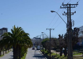 Viña del Mar: Renovarán 500 luminarias en Gómez Carreño
