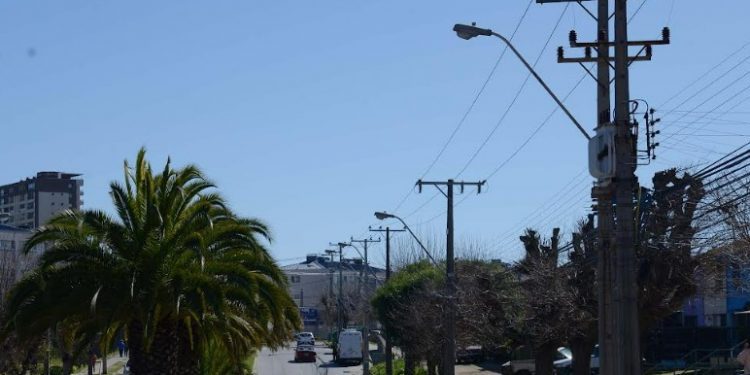 Viña del Mar: Renovarán 500 luminarias en Gómez Carreño