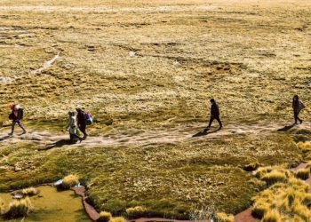 Detenido por crimen de Daniel Palma ingresó de forma irregular al país y tenía orden de expulsión