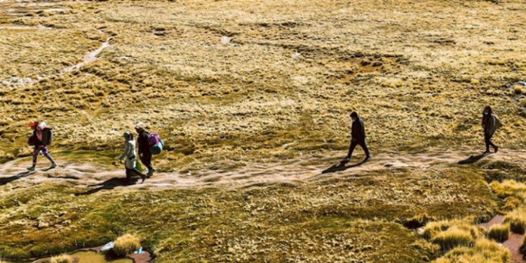 Detenido por crimen de Daniel Palma ingresó de forma irregular al país y tenía orden de expulsión