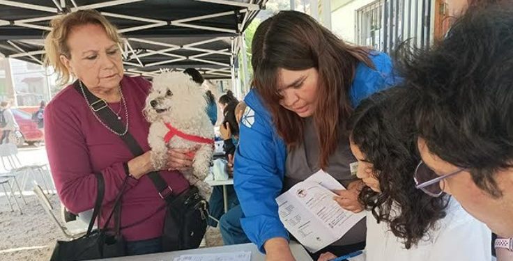 Estudiantes de Santo Tomás participan en “Mechoneo Solidario” en el barrio Limonares