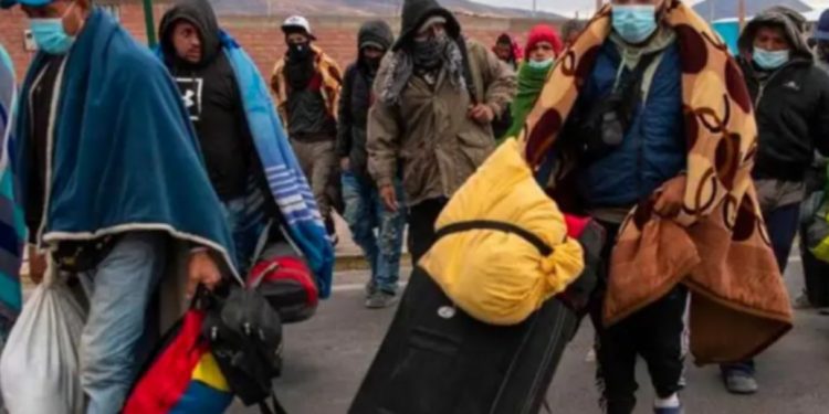 INDH critica proyecto que tipifica como delito la migración irregular a Chile