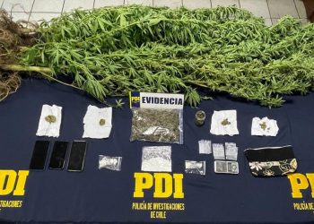 PDI incauta en Isla de Pascua encomiendas contenedoras de droga