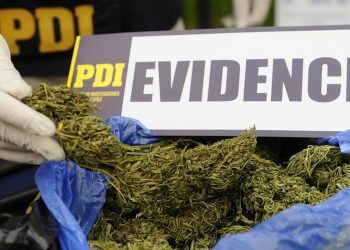 Quilpué: Detienen a hombre con armas y droga avaluada en 55 millones