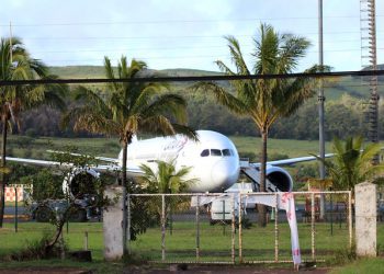 PDI detiene a sujetos que utilizaban transporte aéreo para ingresar droga a Isla de Pascua
