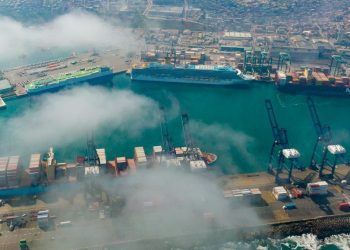 Diputada Camila Rojas solicita mayor presencia de PDI en Puerto de San Antonio