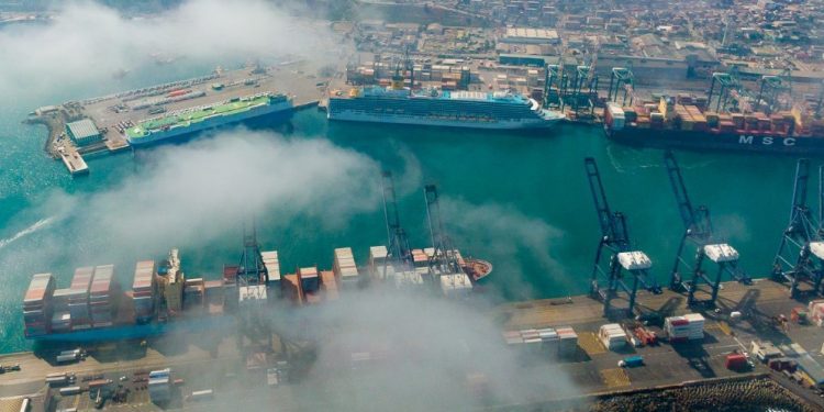 Diputada Camila Rojas solicita mayor presencia de PDI en Puerto de San Antonio