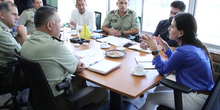 Alcaldesa Ripamonti destaca inclusión de Viña en Plan Calle sin Violencia