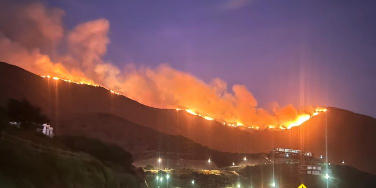 Incendio forestal en Zapallar lleva 350 hectáreas consumidas por las llamas