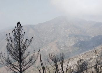 Se mantiene la alerta roja por incendio en Zapallar y Papudo