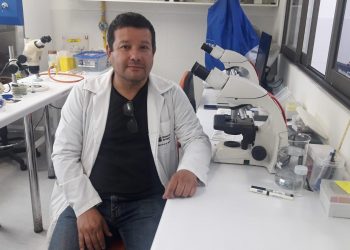 Advierten que fin de emergencia por Covid-19 no significa que el virus desaparecerá