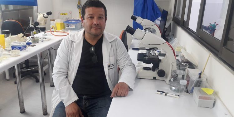 Advierten que fin de emergencia por Covid-19 no significa que el virus desaparecerá