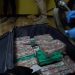 Agente encubierto fue clave para detener banda que exportaba droga por Puerto de San Antonio