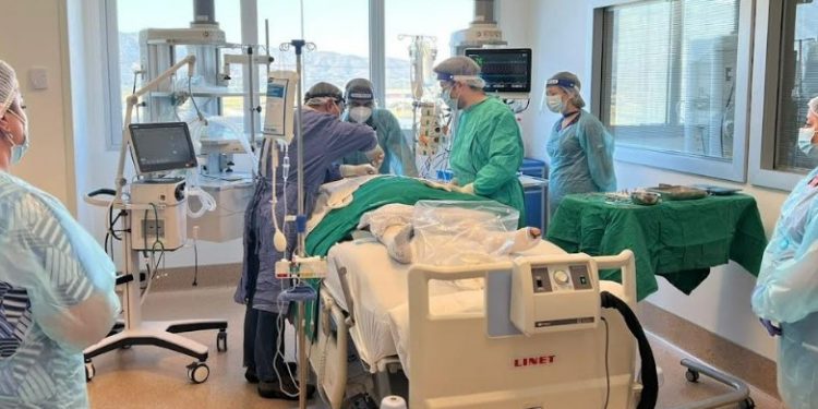 Hospital Biprovincial Quillota Petorca logra procura múltiple de órganos