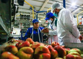 Dirección del Trabajo aplica multas por 643 millones a empresas agrícolas
