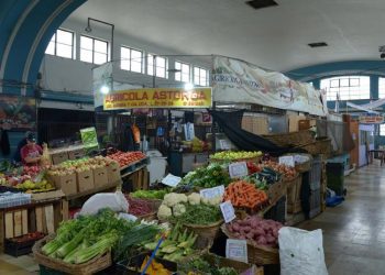 Viña del Mar: Licitarán proyecto para remodelar Mercado Municipal