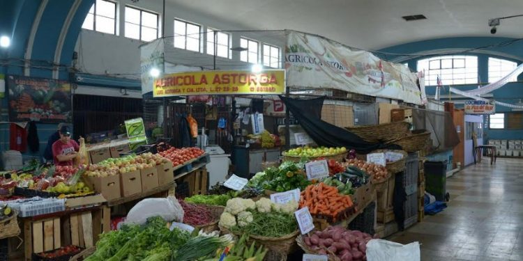 Viña del Mar: Licitarán proyecto para remodelar Mercado Municipal